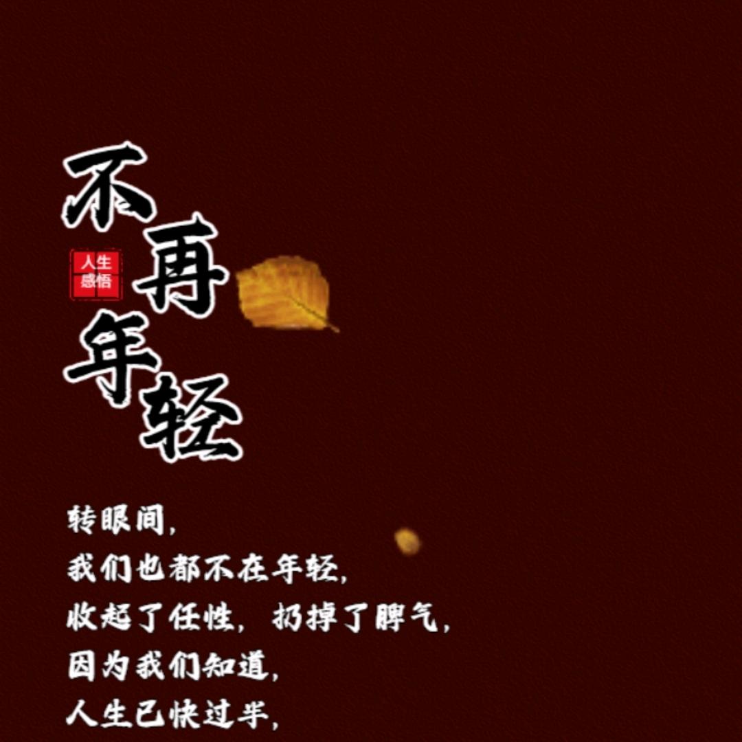 安安静静