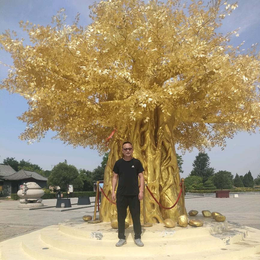 洛阳祈福直通车飞哥