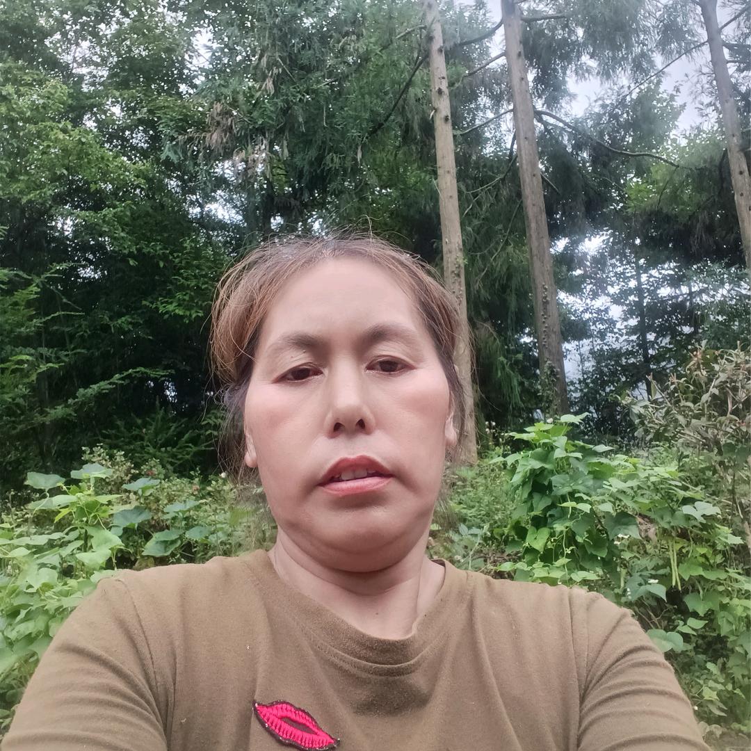 雨过天晴重庆市  晚上（7：30）开播