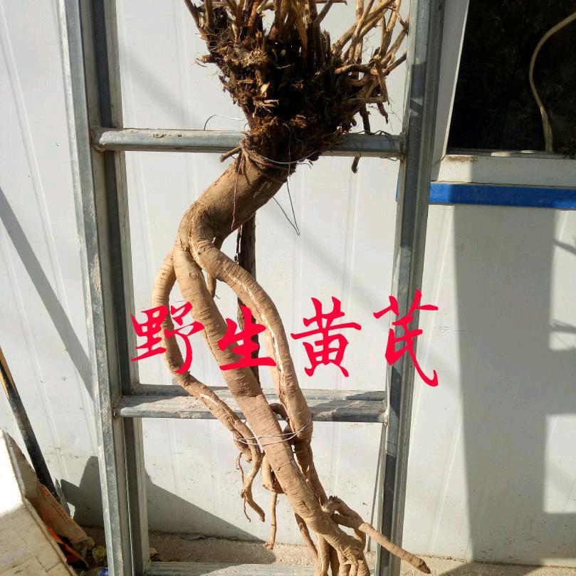 漳县天赐联民农特产电子商务店