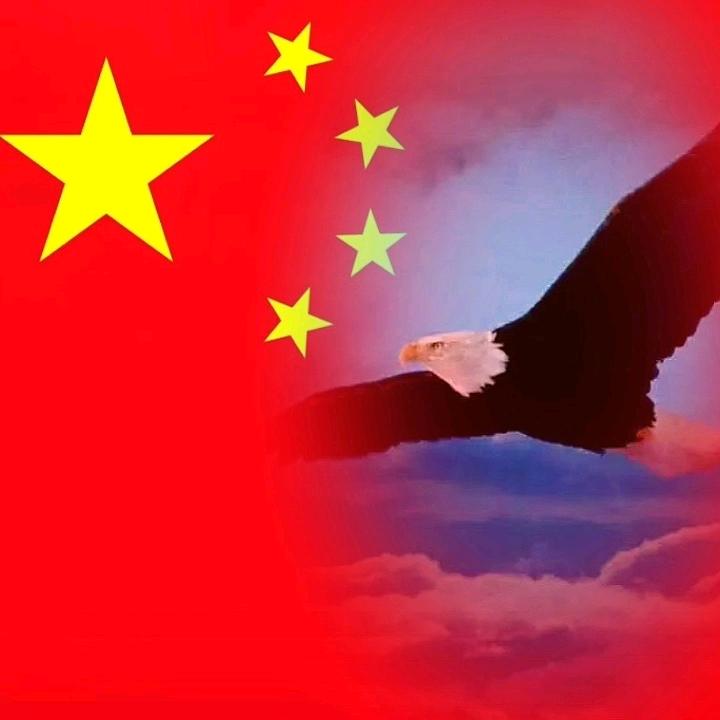 孤独的飞行521