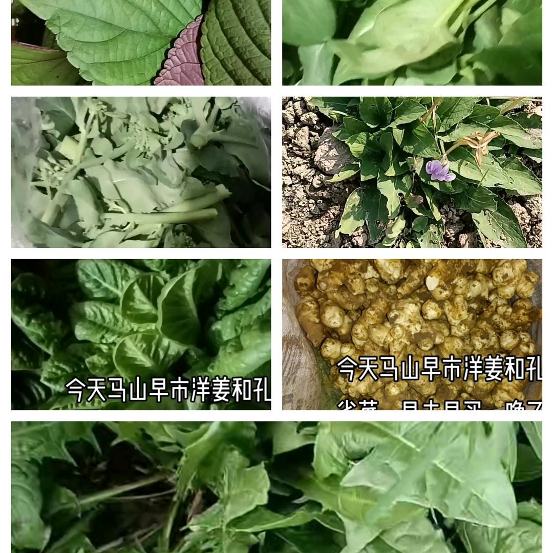 卖野菜的老婶子