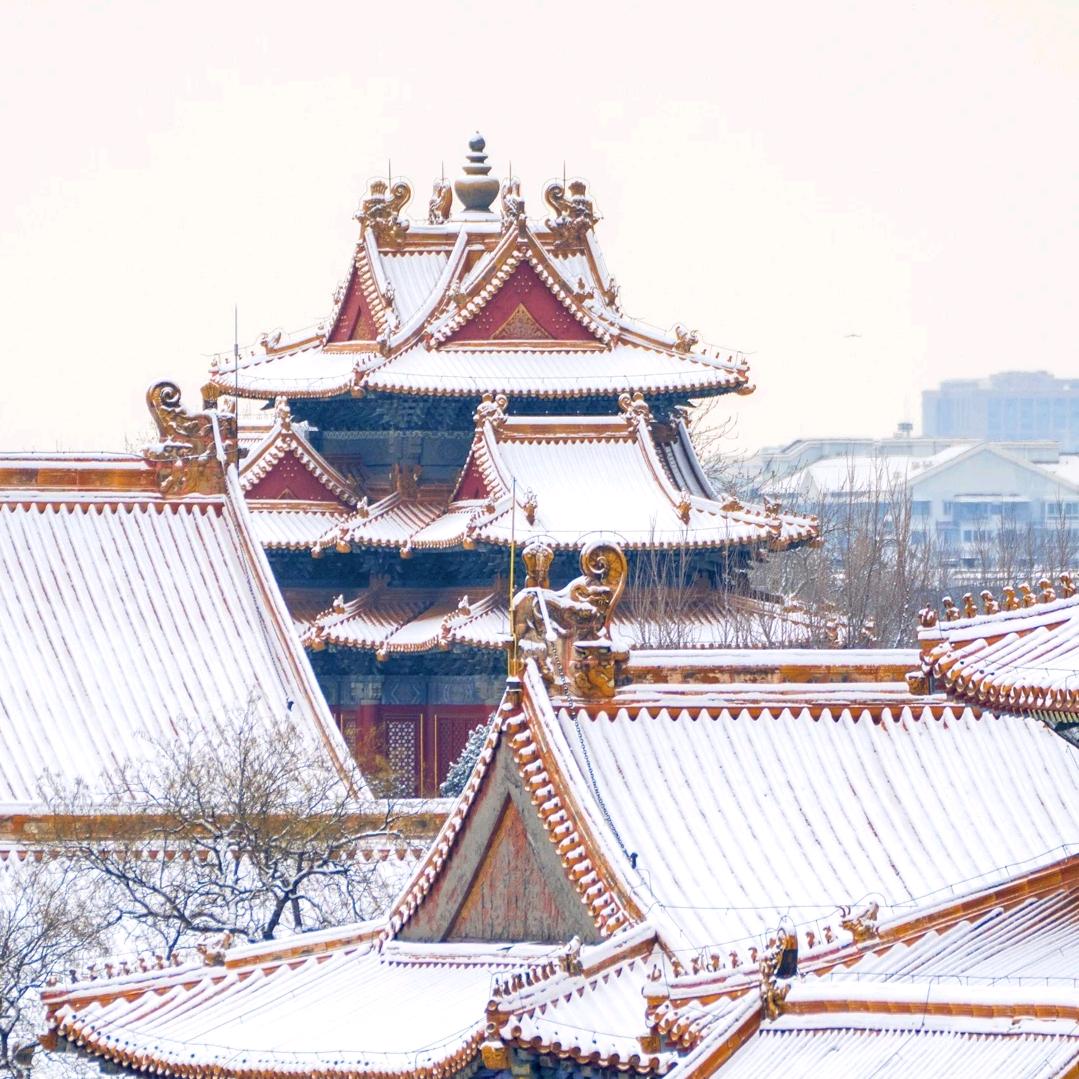 北漂小盛