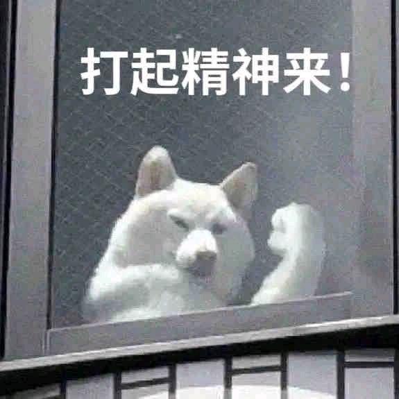 冲冲冲👊👊