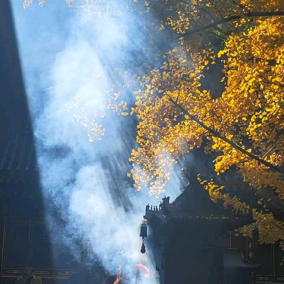 人好嘴甜