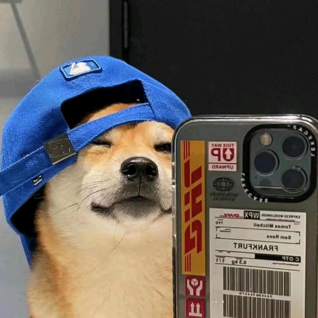 呆呆的看着