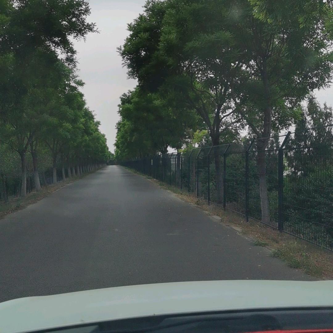 你是我的布洛芬