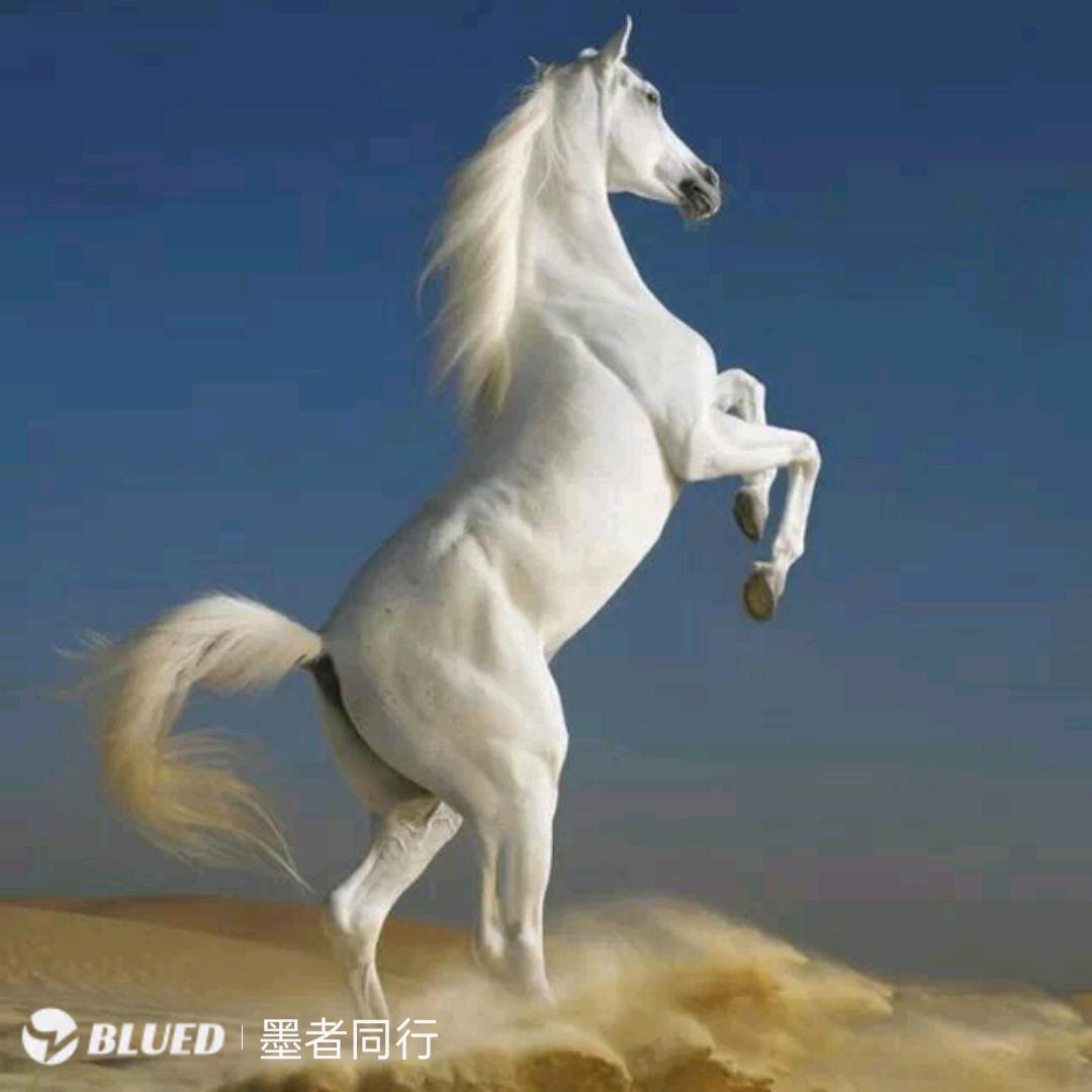 星河万里