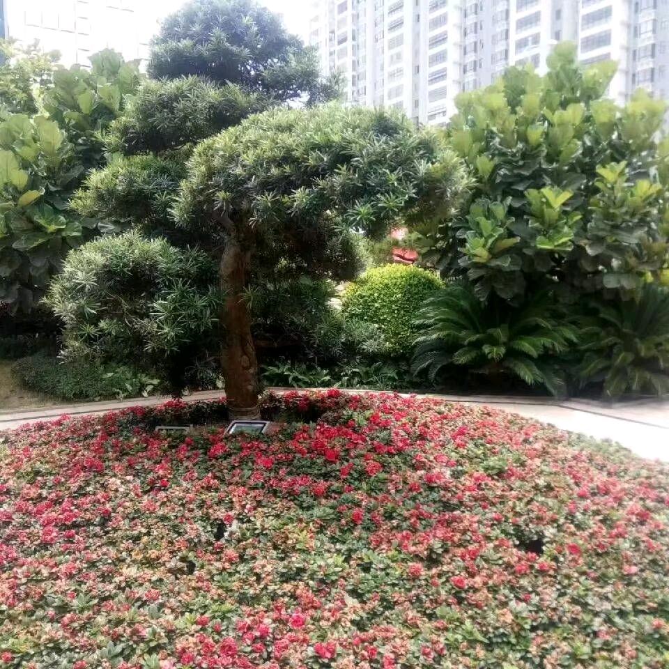 一帆风顺，，，