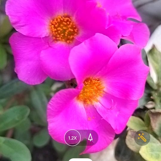 香不忘初心军