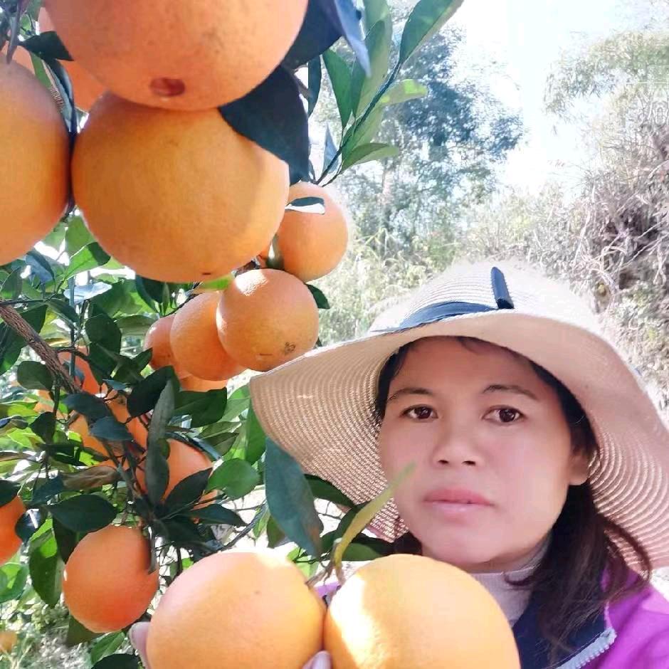 飞燕葡萄脐橙农场