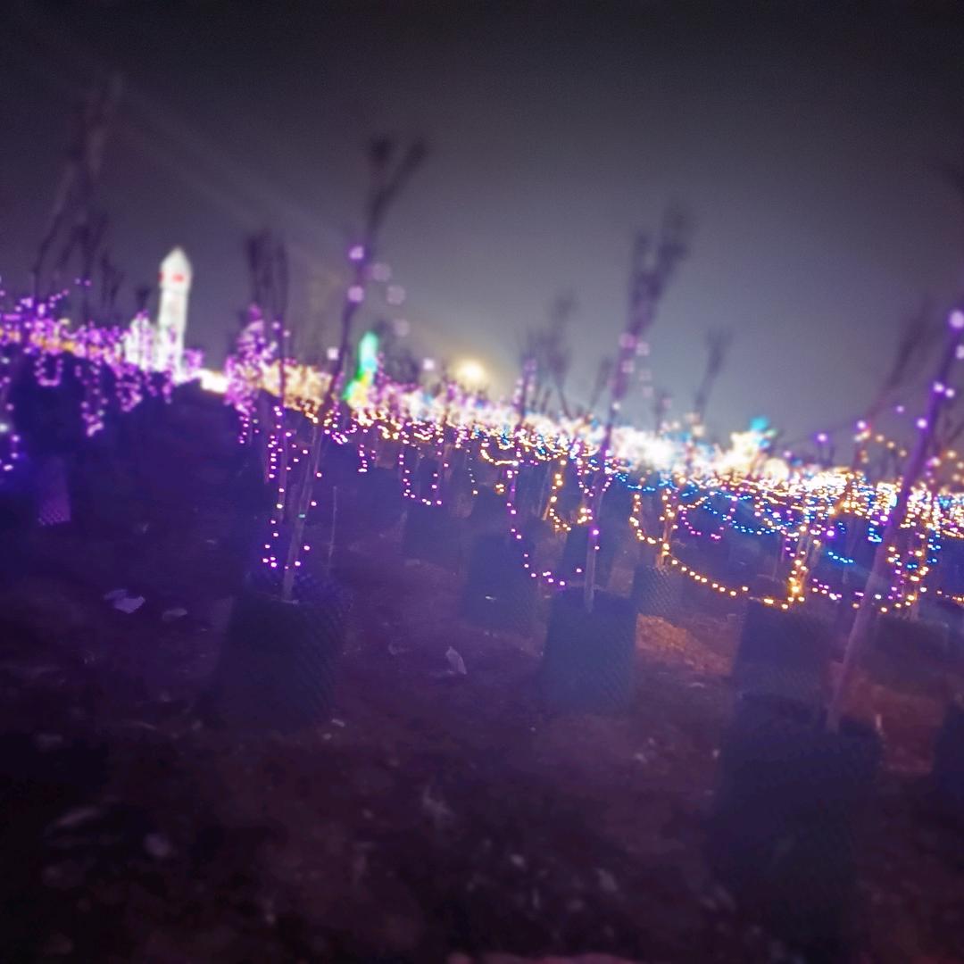 余生请指教@