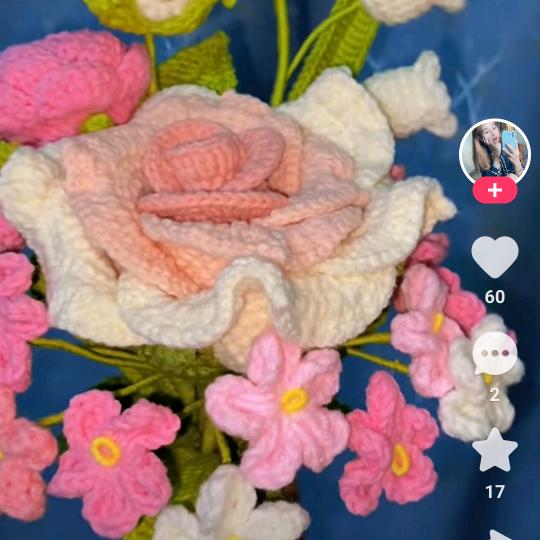 (๑>银光追梦<๑）