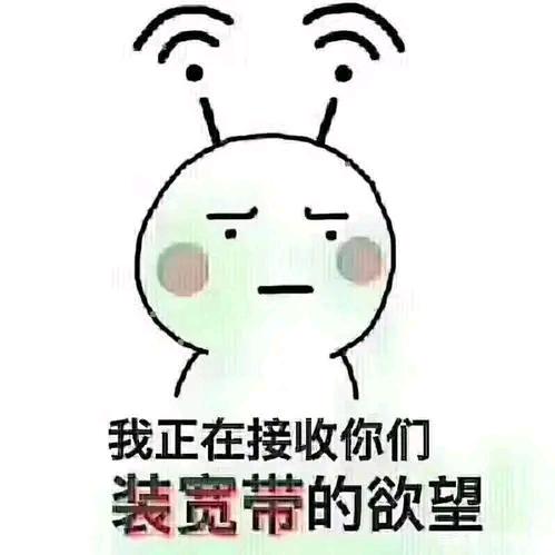 网络排忧小能手