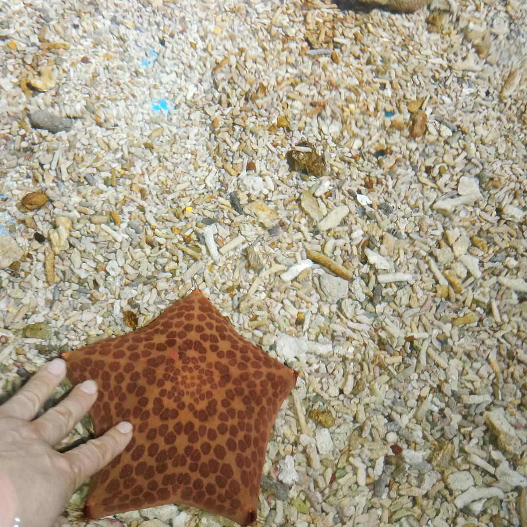 王姐