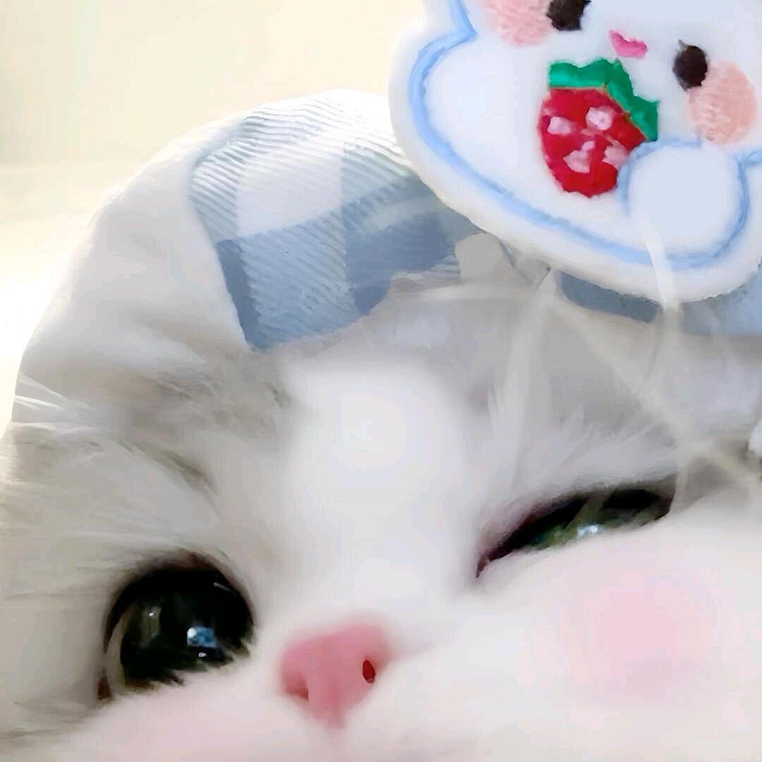 小椰🍨