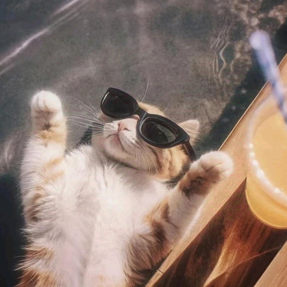 快乐小猫