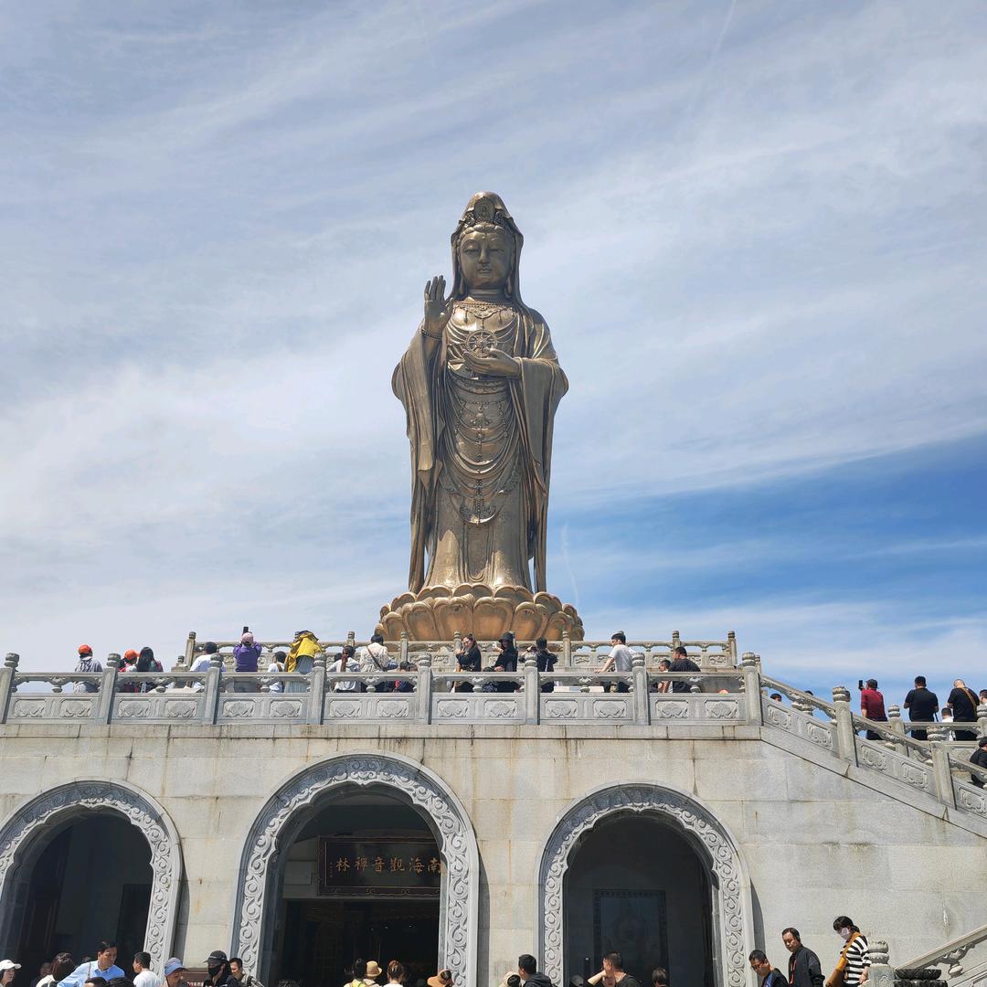 杨龙