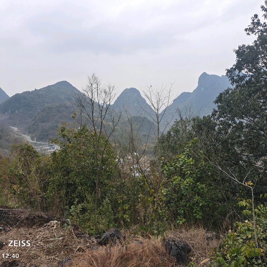 商丘烩面哥