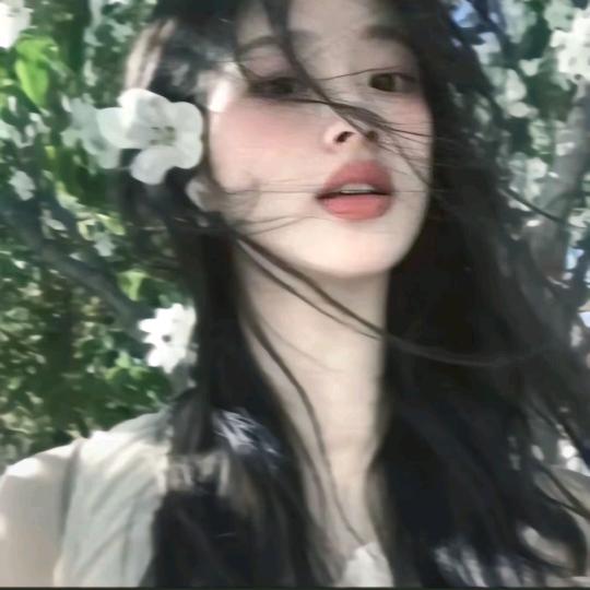 愛意随鳳起.