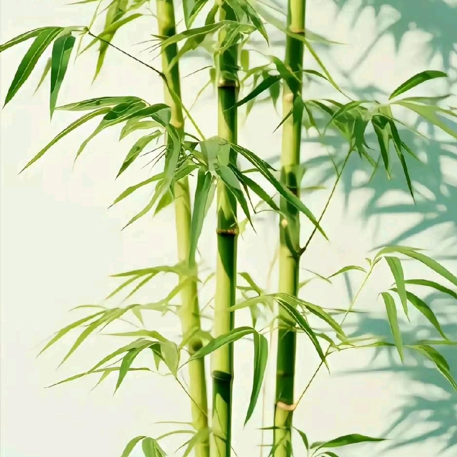 塘厦成财机械配件加工-阿财