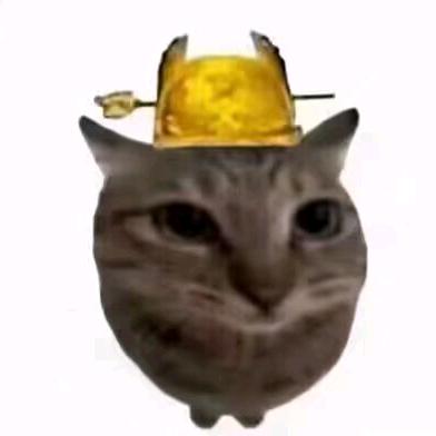 左心房.