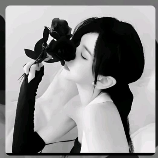 黑狐狸（拒绝连赞，连赞拉黑