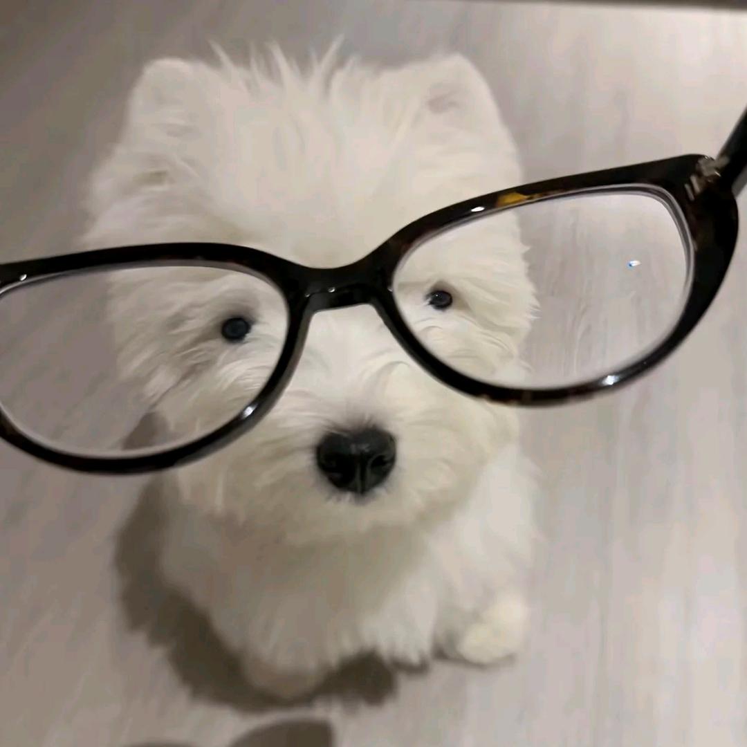 慕荷