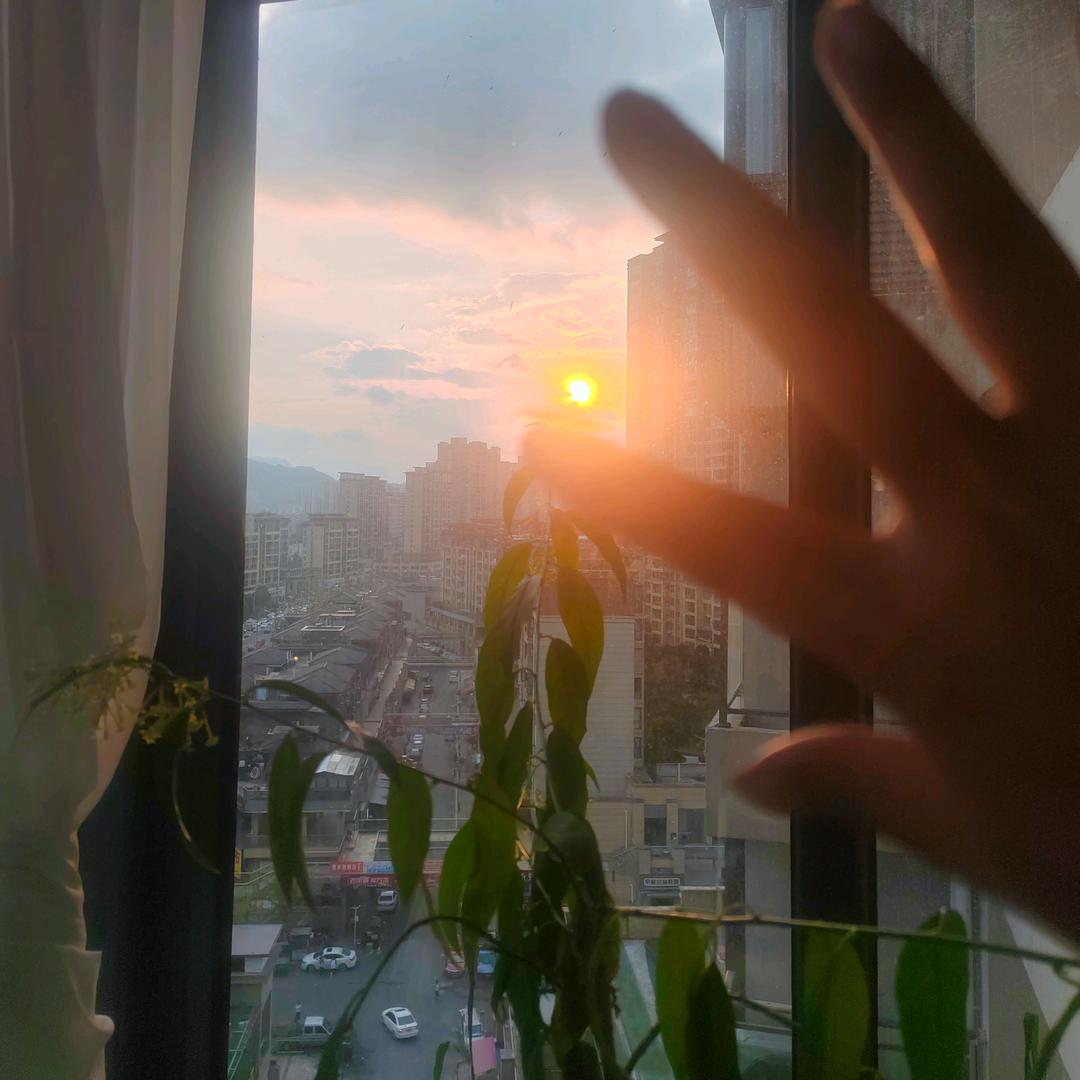 月落清荷🌙