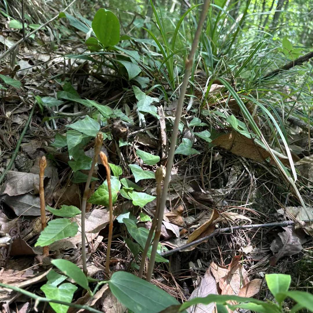 ꪋꪆᩚ༉💕输在&认真꧔҉ꦿ࿐