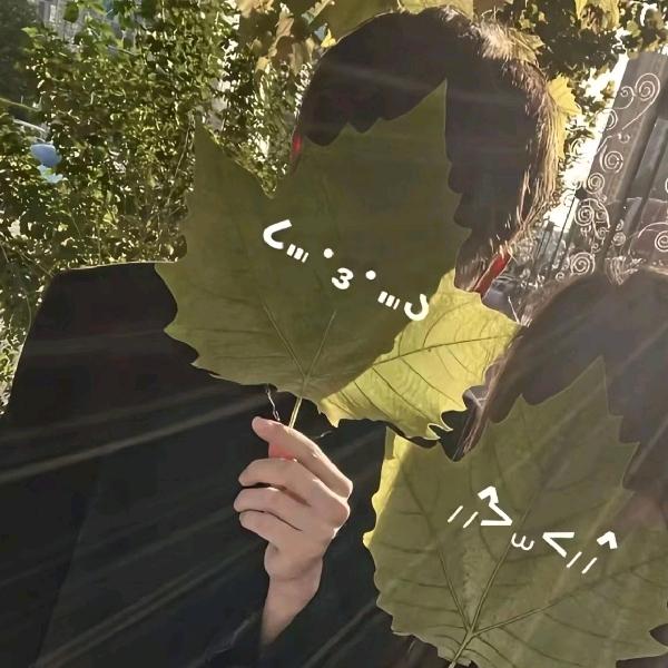 果盘大王