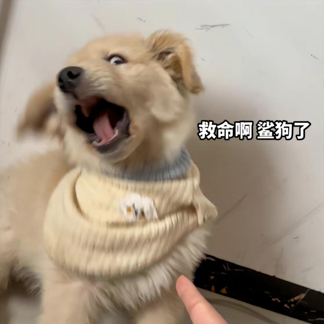 病假不给批💢