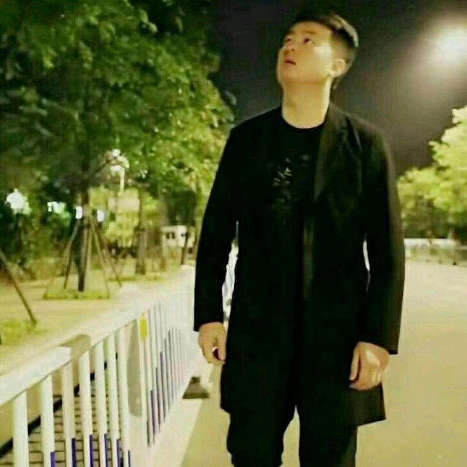 孤雁南飞