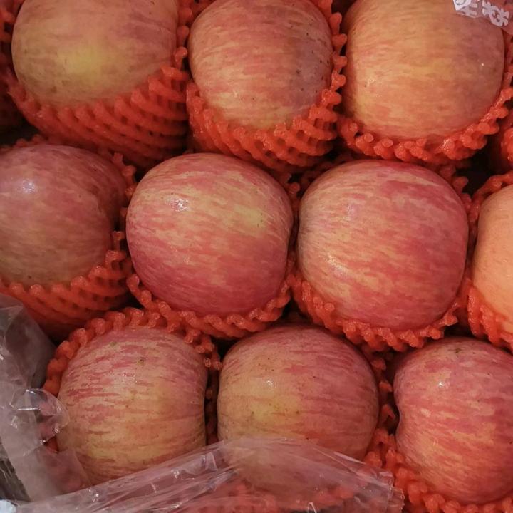 ^O^逍，遥，浪，子^O^