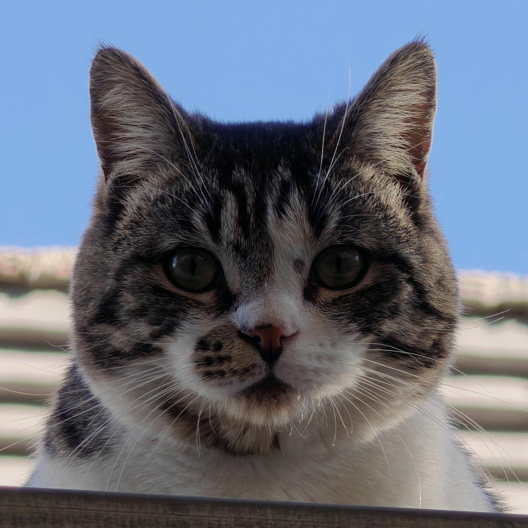未填写昵称