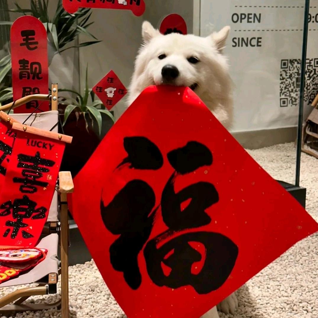 先森的铺子