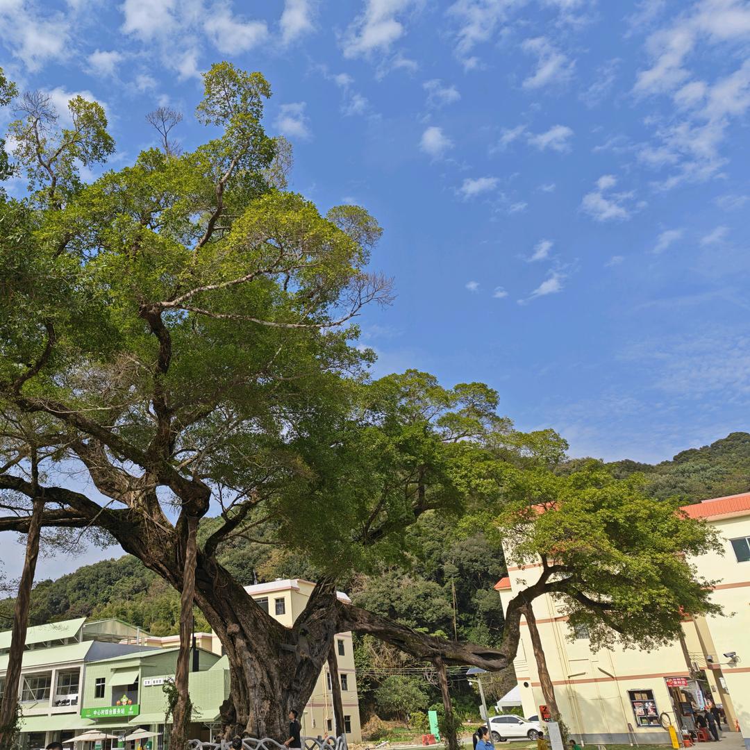 山山而川