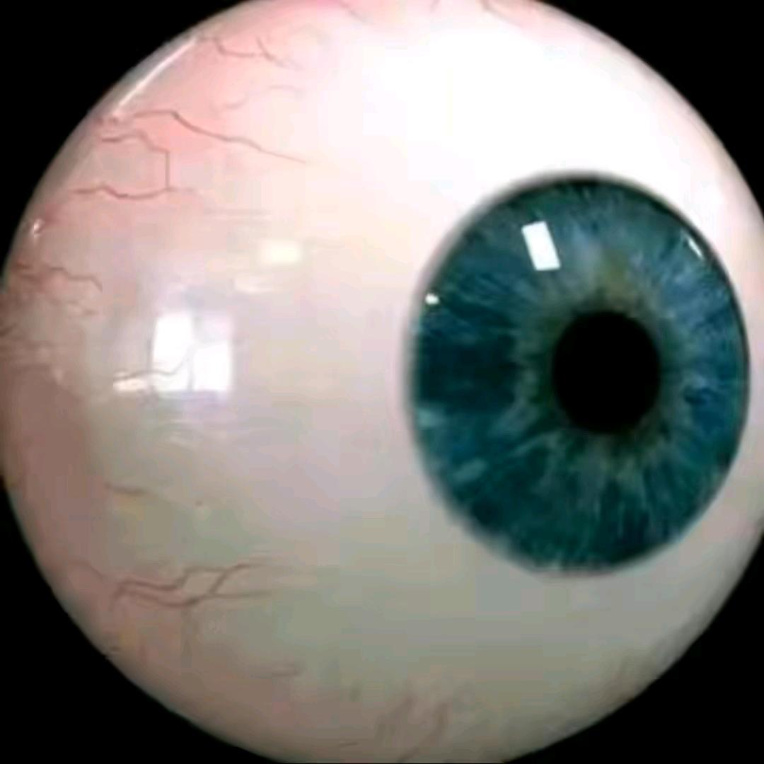 学医的猪小平           🪳