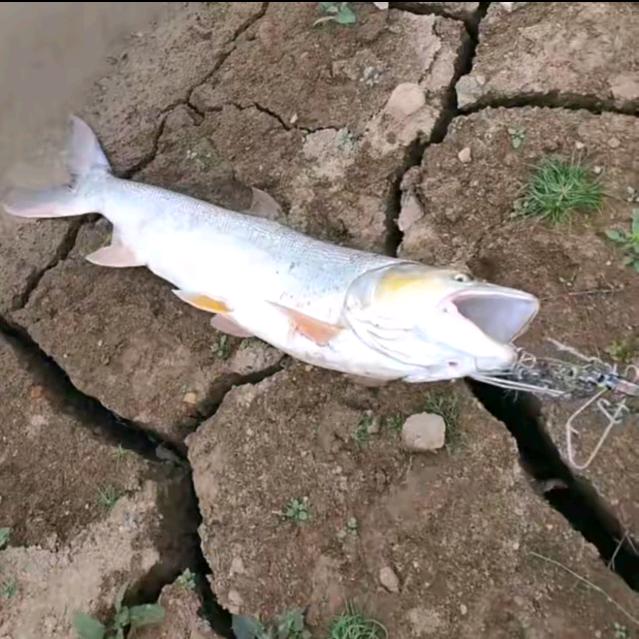 @💕᭄ꦿ很幸运ོ࿆遇见᭄🕊: 💕᭄