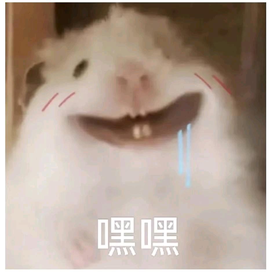 Dae丶kk红鼠