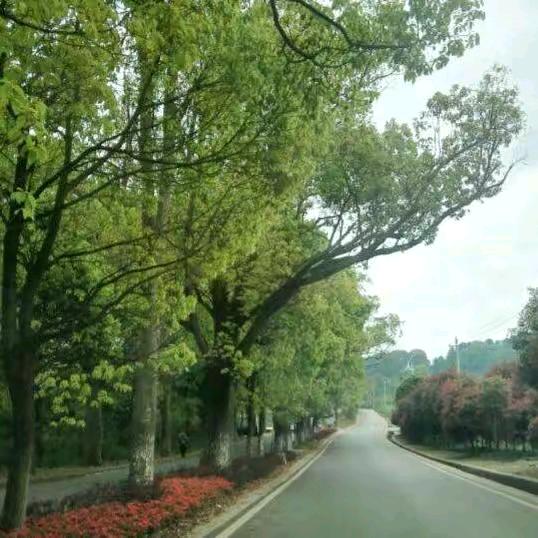 这一路
