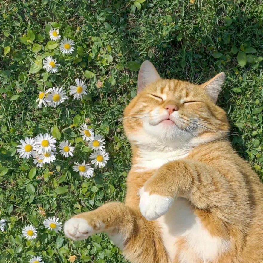 生活小确幸百货