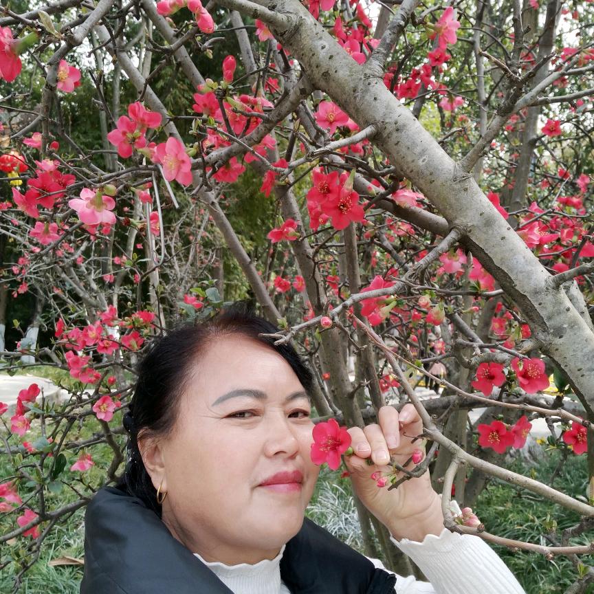 秀妹妹
