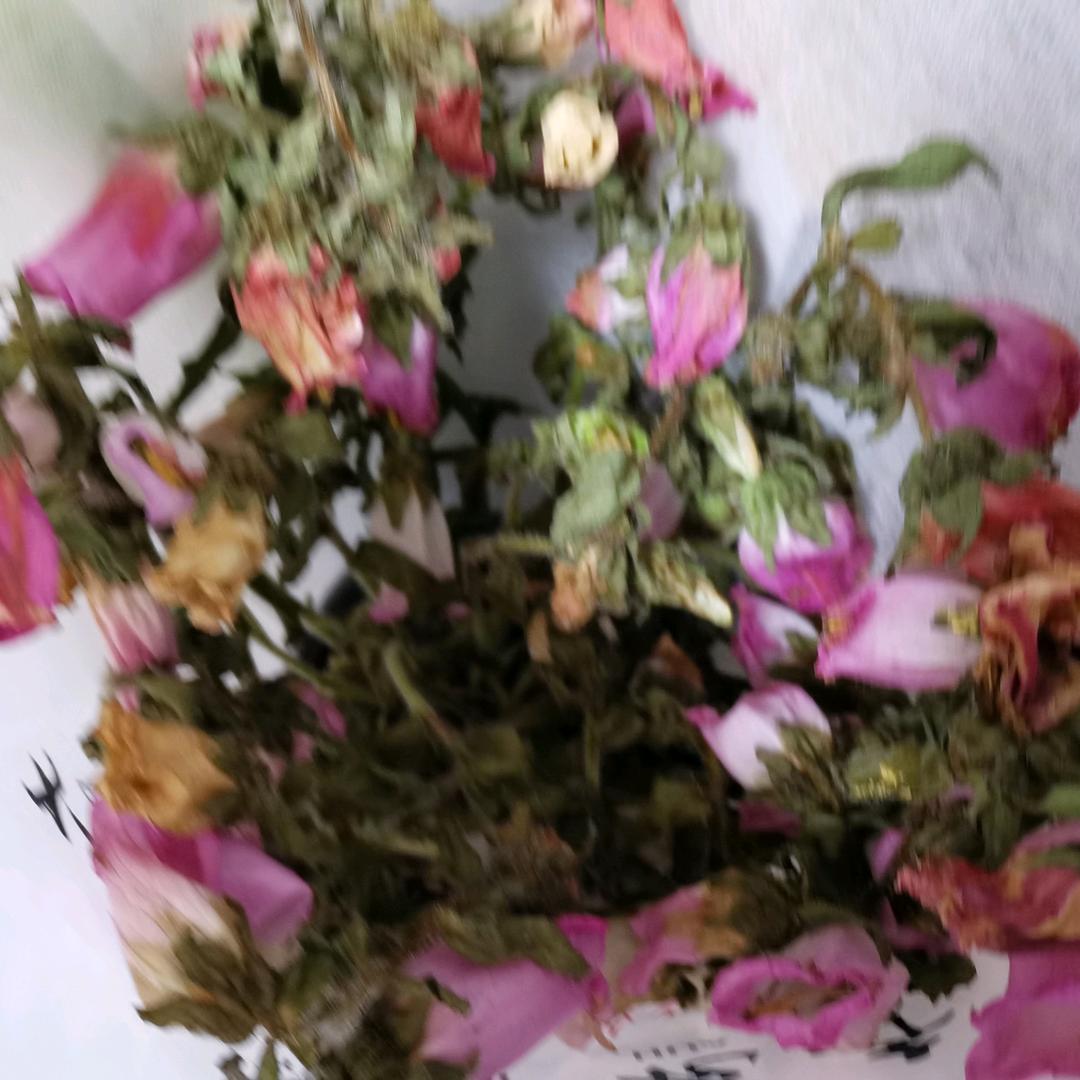 翠果家族
