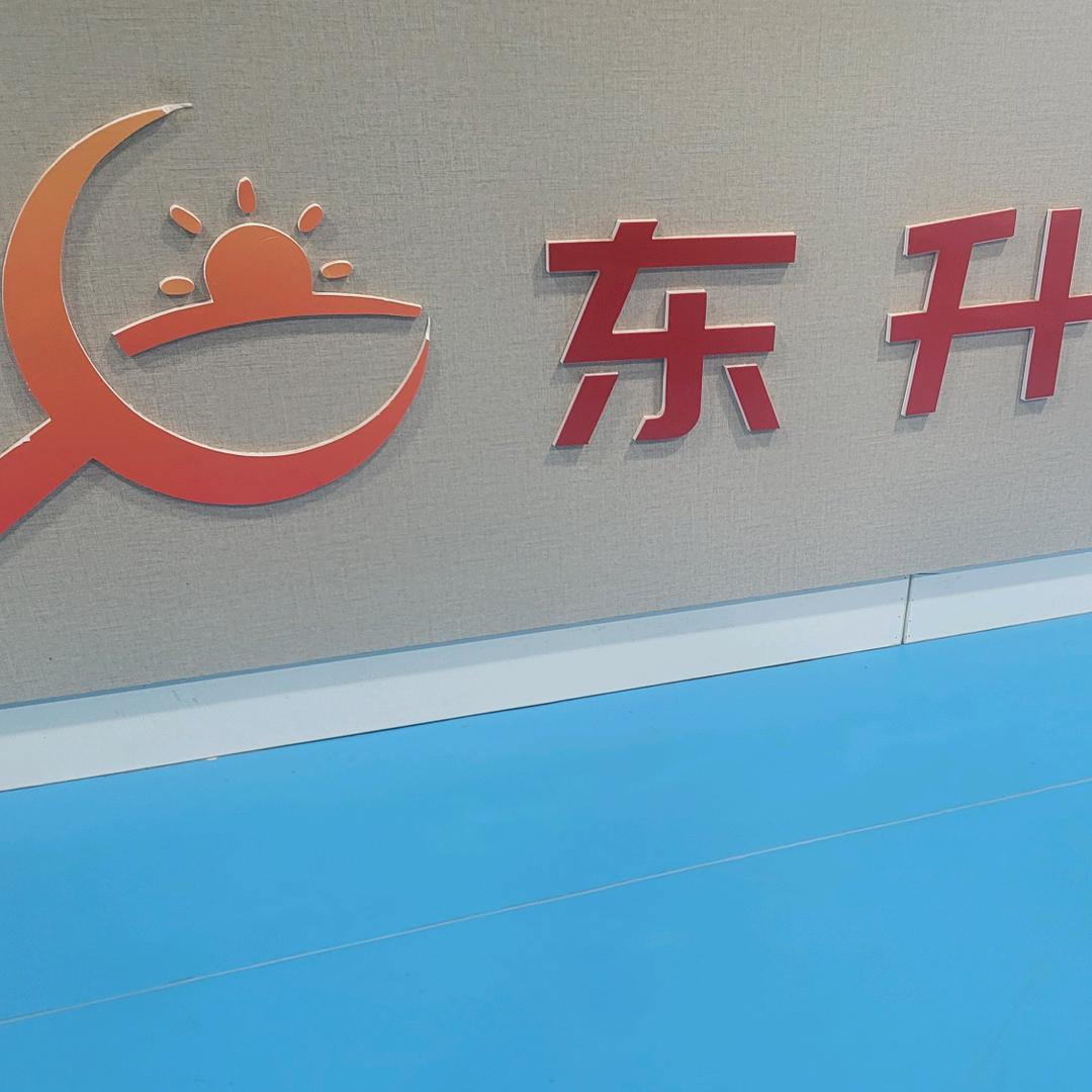 鹿邑东升乒乓球