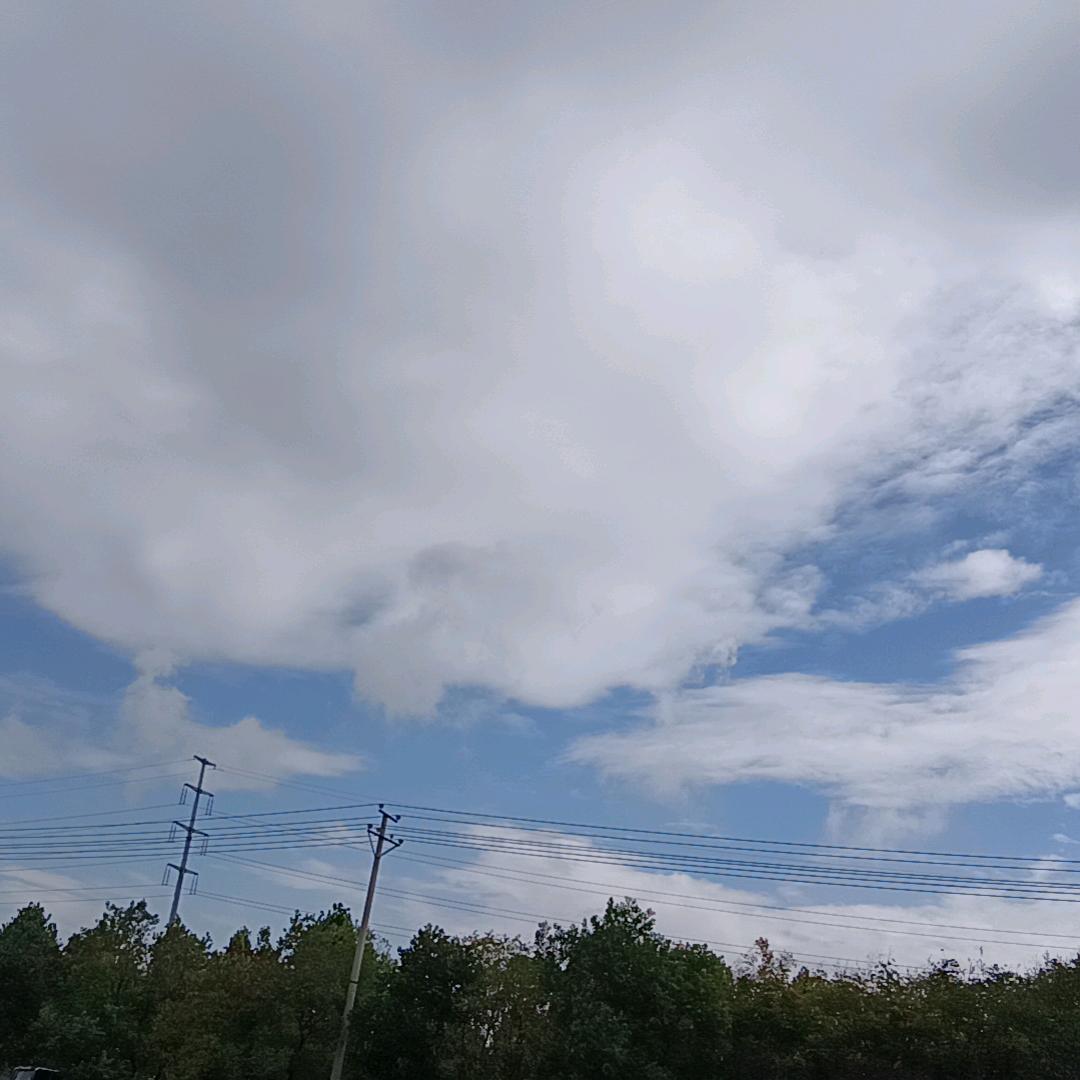 郑在游(外卖版)