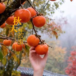🌹时光静好🌹