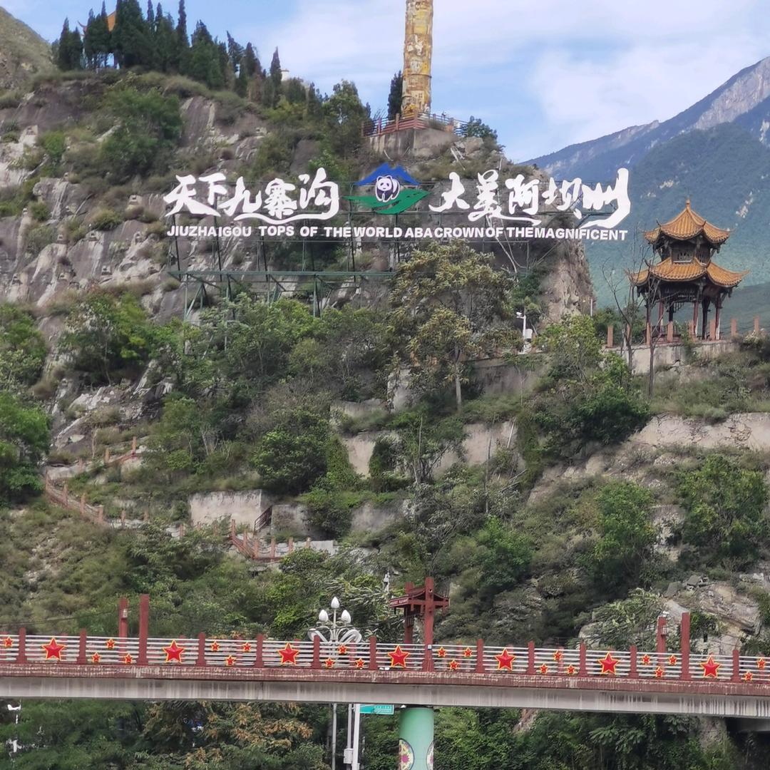 沧海无涯