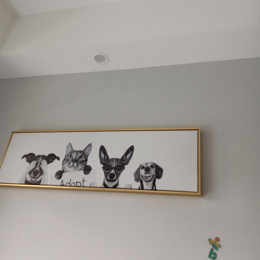 我的心好疼