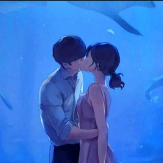 夏舒